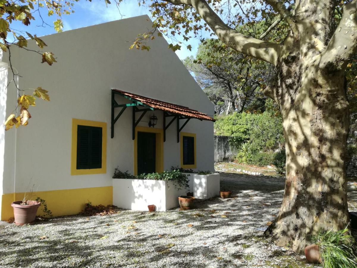 Montejunto Villas - Casa Do Platano Cadaval Exterior foto